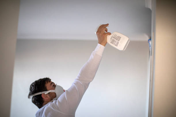 Best Same-Day Mold Removal  in Ocean Gate, NJ