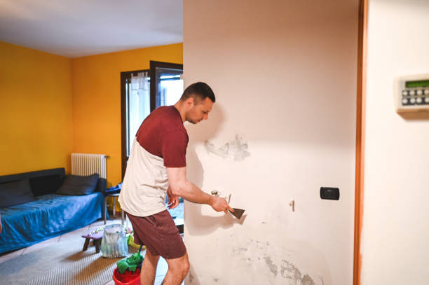 Best Crawl Space Mold Removal  in Ocean Gate, NJ